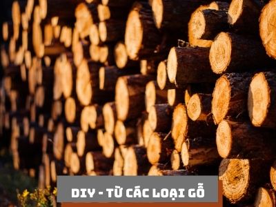 Bộ nguyên liệu từ gỗ